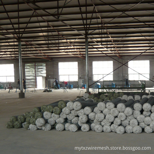 SGS dipped galvanized pvc coated chain link fence for saudi arabia